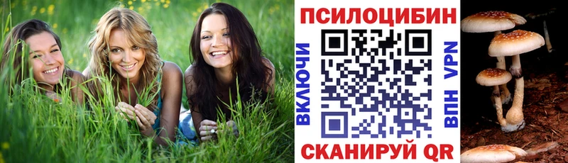 Псилоцибиновые грибы мухоморы  Елец 